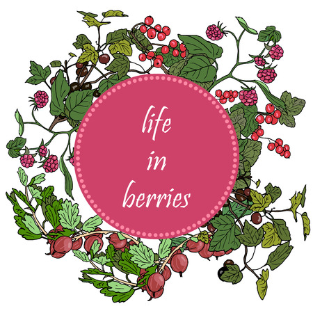 Set of garden berries and green twigs in circle badge, blackberry, raspberry, red currant, gooseberry. Retro style. For posters, decoration, labelsのイラスト素材