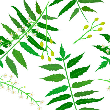 Neem or nimtree seamless pattern vectorのイラスト素材