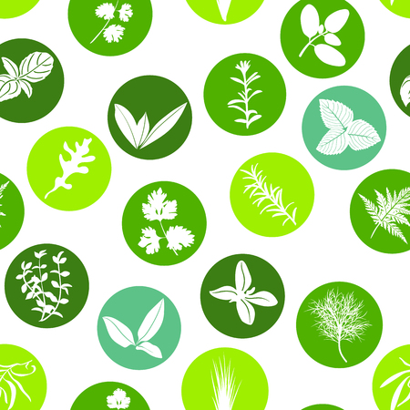 Big icon seamless pattern set of popular culinary herbs white silhouettes in color circles. Color background. Basil, coriander, mint, rosemary, sage, thyme, parsley. For cosmetics, health care, labelのイラスト素材