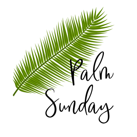 Green Palm leafs vector icon. Vector illustration for the Christian holiday. Palm Sunday text handwritten font. For postcards, design, , prints, decoration, label, , template