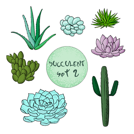 Succulent cactus collection. agave, Carnegiea, aloe, gastraea, haworthia, Saguaro, Echinopsis, San Pedro, Cereusのイラスト素材