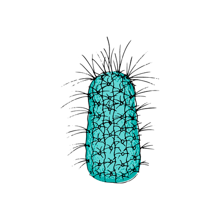 colored cactus, hand drawn vector illustration. outline sketch. Succulent collection. nature elements. for cards, posters, banners, invitations greeting cards printsのイラスト素材