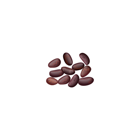 Kidney beans, white, haricot, cacao beans. Red beans, legume, realisticのイラスト素材