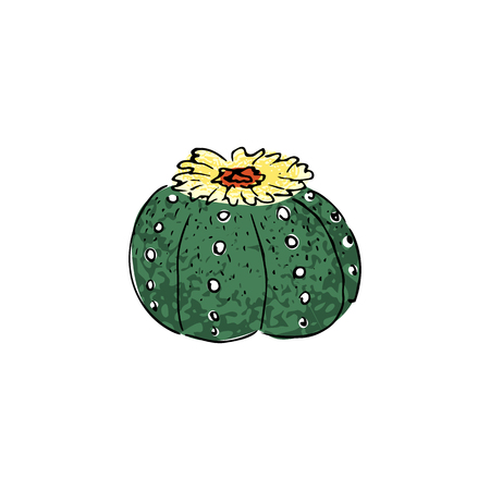 colored cactus, hand drawn vector illustration. outline sketch. Succulent collection.の写真素材