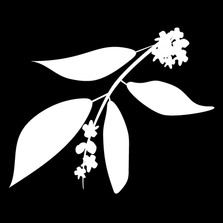 Chandan or sandalwood plant isolated icon. white silhouette. Vector illustrationのイラスト素材