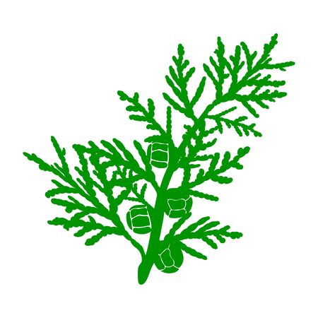 Cypress cedar flat silhouette icon isolated on a white background vector illustration Cypress cedar flat silhouette icon isolated on a white background vector illustration