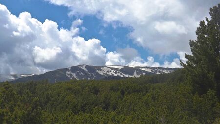 It is summerの写真素材