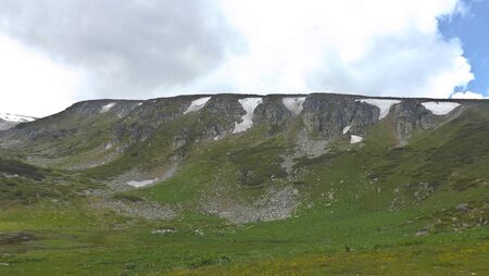 Beautiful and wild green lawnの写真素材