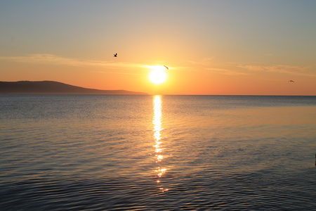Sunrise over the ocean with beatiful gulls and seagullsの写真素材