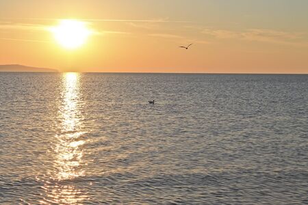 Sunrise over the ocean with beatiful gulls and seagullsの写真素材