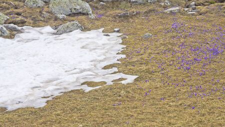 Magnificent viewの写真素材