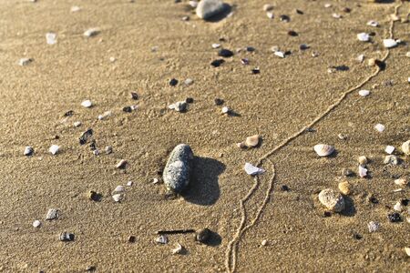 Warm and soft sand strewn with fine pebbles and shellsの写真素材