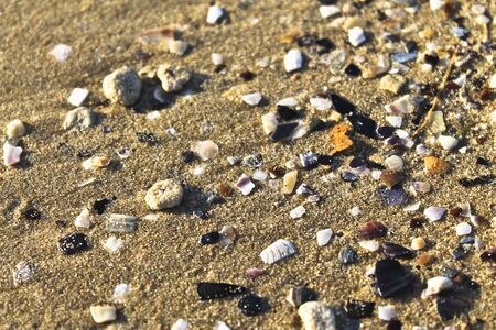 Warm, and, soft, sand, strewn, with, fine, pebbles, shellsの写真素材