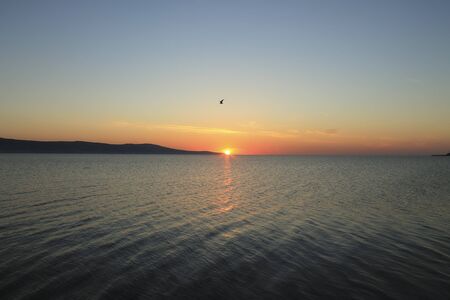 The photograph was teken in the morning and gulls and seagulls flying in the blue skyの写真素材