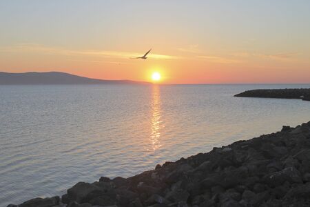 The photograph was teken in the morning and gulls and seagulls flying in the blue skyの写真素材