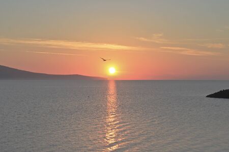 The photograph was teken in the morning and gulls and seagulls flying in the blue skyの写真素材
