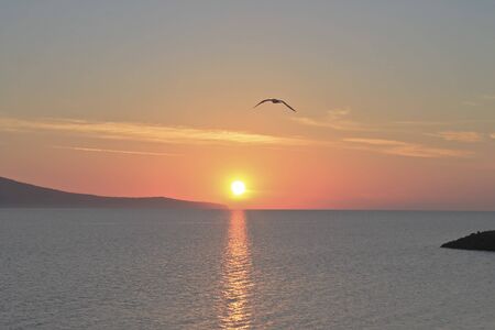 The photograph was teken in the morning and gulls and seagulls flying in the blue skyの写真素材