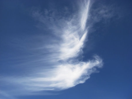 Clouds looks like a flying bird silhouette.の写真素材