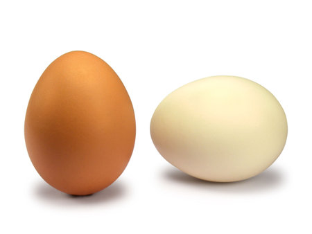 Brown and white eggs isolated on white background.の写真素材