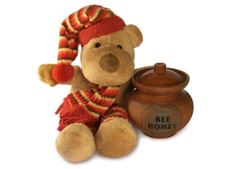 Teddy bear with honey pot.の写真素材