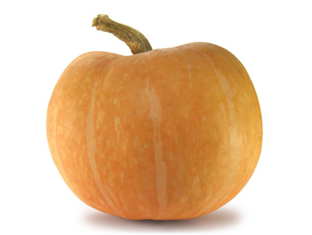 Pumpkin isolated on white background.の写真素材