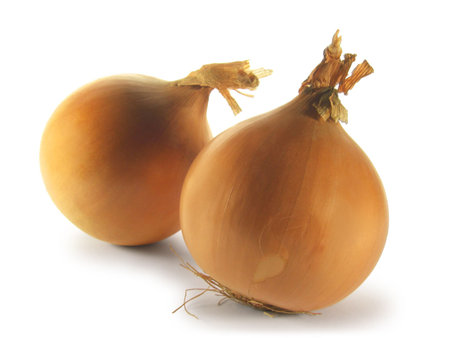 Two onions isolated on white background.の写真素材