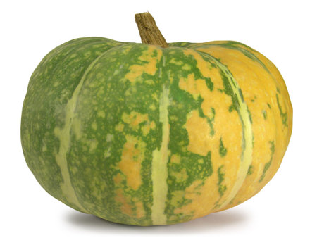 An overripe pumpkin isolated on white background.の写真素材