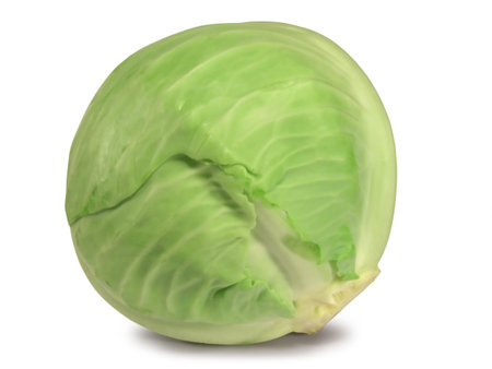 Green cabbage isolated on white background.の写真素材