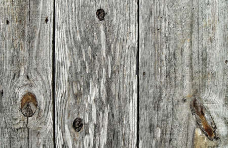Wood texture grayの写真素材