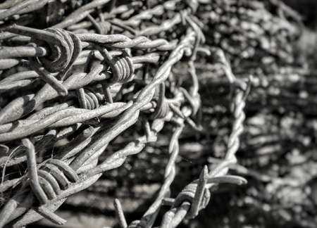 Gray barbed wireの写真素材
