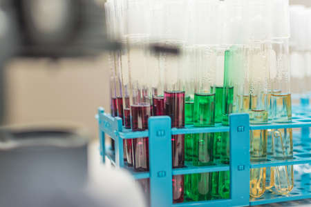 Test tubes in laboratoryの写真素材