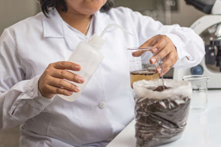 Young woman looking at a test tube in a laboratoryの写真素材