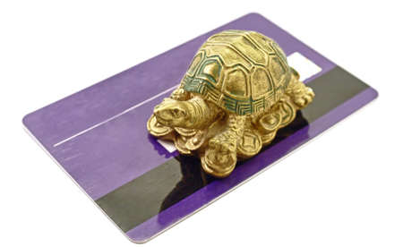 Feng Shui Tortoise Money sitting on credit card rich conceptの写真素材