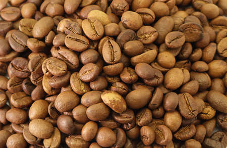 Coffee Beans Texture Background  brownの写真素材