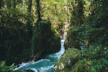 Mountain Waterfall River with deep forest Landscape beautiful scenic view wild natureの写真素材