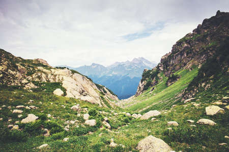 Rocky Mountains Landscape green valley Summer Travel serene scenic viewの写真素材