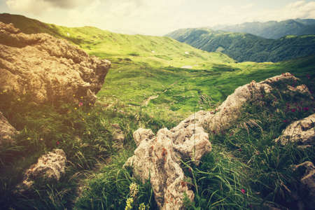 Mountains green valley and stones Landscape Summer Travel scenic viewの写真素材