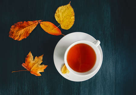Cup of Tea with fall yellow leaves on dark wooden background Autumn seasonal conceptの写真素材