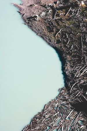 Aerial view Lake and woods on beach wild landscape Travel serene scenic viewの写真素材