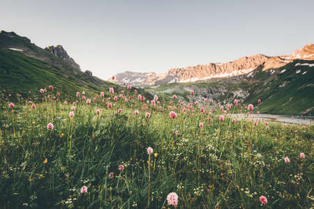 Mountains sunset Landscape Travel wild nature calm scenic summer viewの写真素材