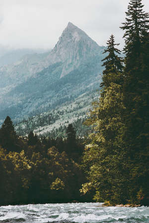 Mountains and Coniferous Forest over river Landscape Travel serene scenery summer wild nature viewの写真素材