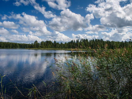Scenery of the finnish lakes in summer surrounded by deep green forestsの写真素材