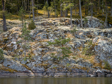 Mossy rock formation leading into a lake - Forest in the backの写真素材