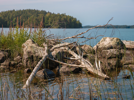 Rocks and forested iceland in Finnish lake surrounded by lush forestsの写真素材