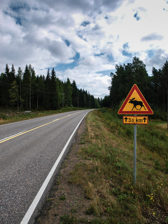 Road leading through the Scandinavian forest with moose warning signの写真素材