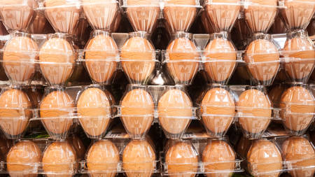 Rows of eggs in plastic boxs.の写真素材