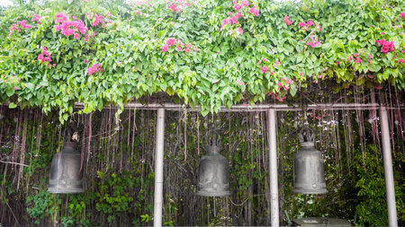 Bangkok, Thailand - Jan 25, 2016: Old bells for people to ring to make a wish and respect the temple...