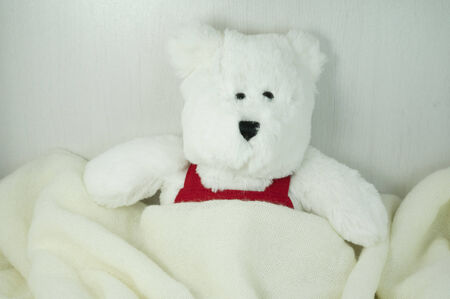 White bear toy under blanketの写真素材
