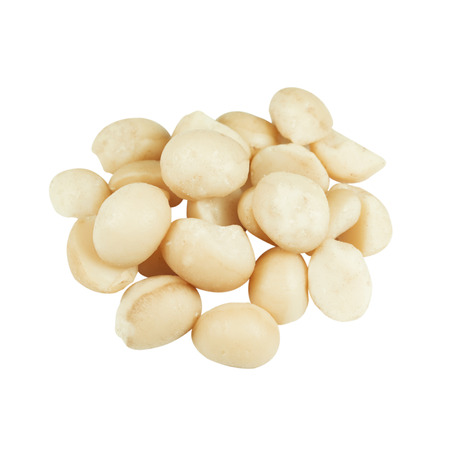 Macadamia nuts isolated on white backgroundの写真素材