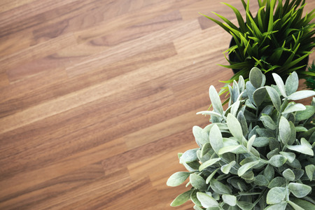 Artificial green plants on wooden office desk backgroundの写真素材
